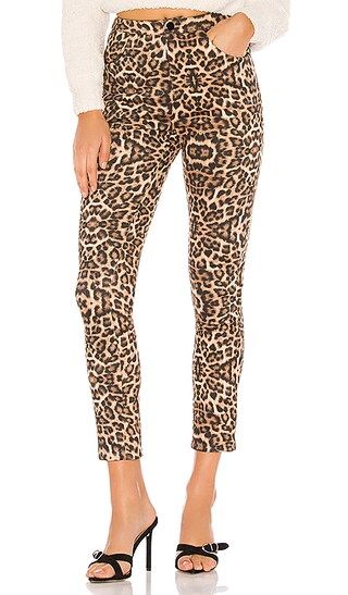 Maxyn High Waisted Pant in Leopard | Revolve Clothing (Global)