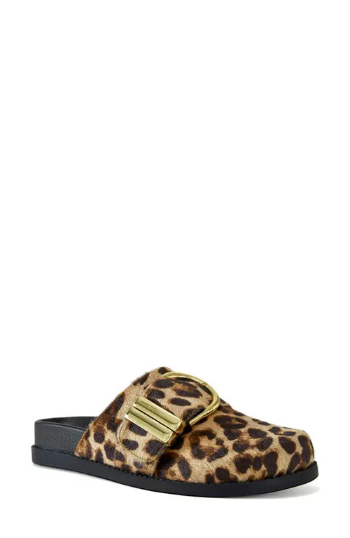 AZALEA WANG Archibald Faux Calf Hair Clog in Leopard at Nordstrom, Size 6 | Nordstrom