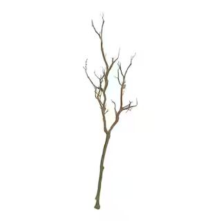 Bare Birch Branch by Ashland® | Michaels Stores