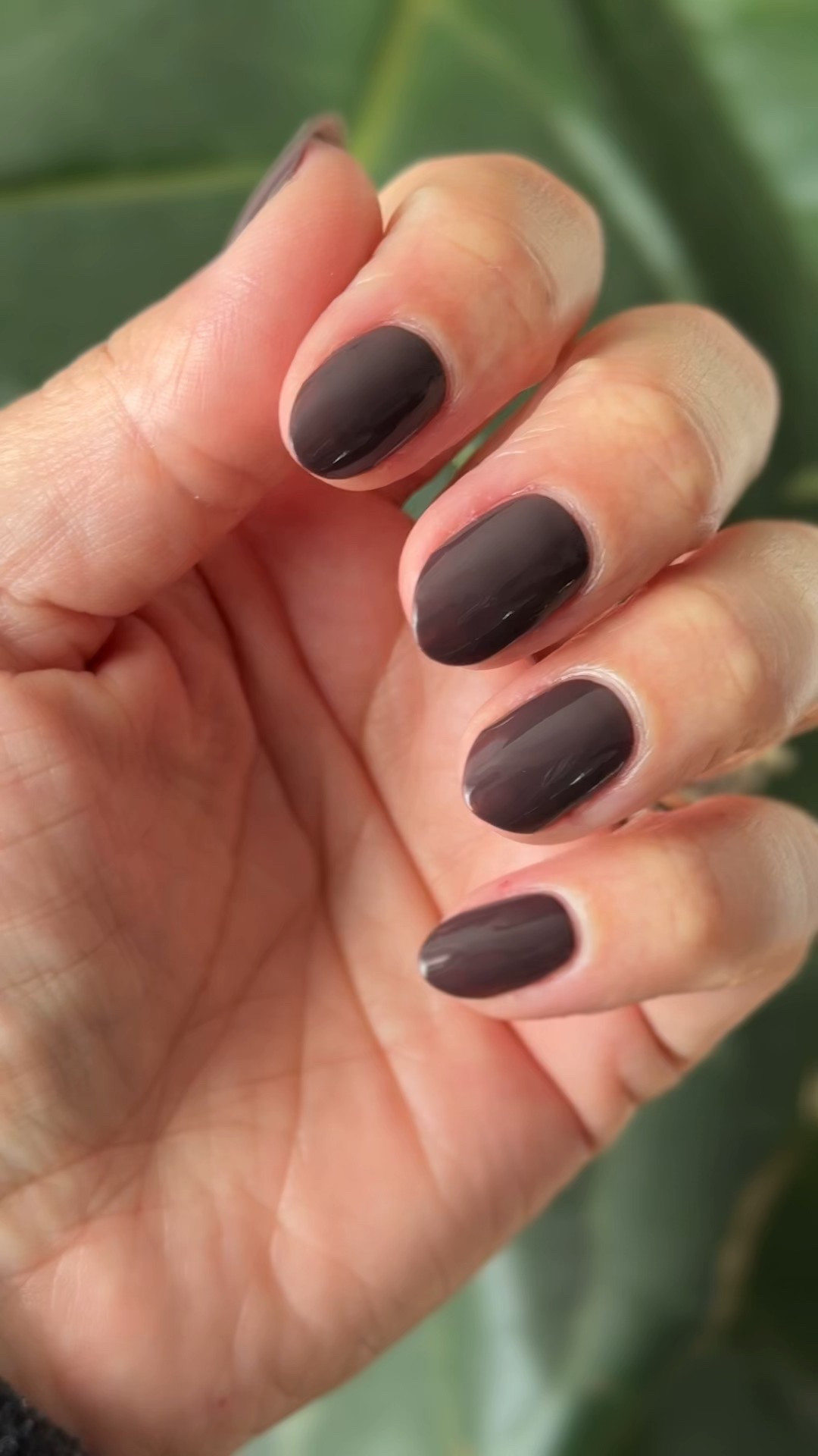 Freshly chopped nails to start the year! Wore a lot holiday colors recently and was craving a short semi dark mani. Wearing 2 coats of Bunny, which is a quick dry. Topped with Ling Lasting topcoat so it’s extra plump and glossy. 

#LTKBeauty #LTKFindsUnder50