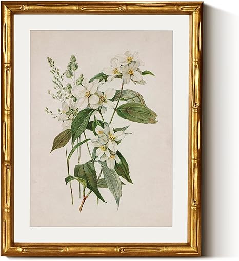 InSimSea Gold Bamboo Framed Canvas Wall Art, Neutral Floral Botanical Paintings, Antique Vintage ... | Amazon (US)