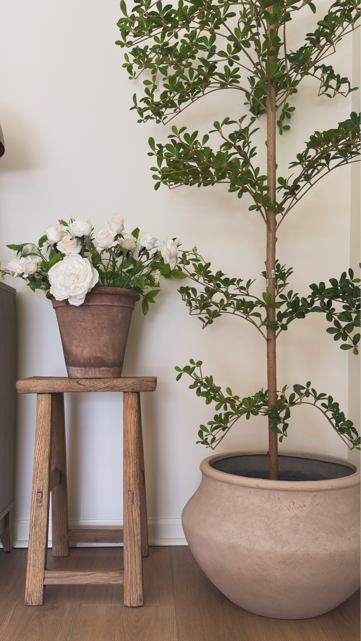 Love a cozy corner 🤎🌿

#LTKdayinmylife #LTKHome #LTKSaleAlert