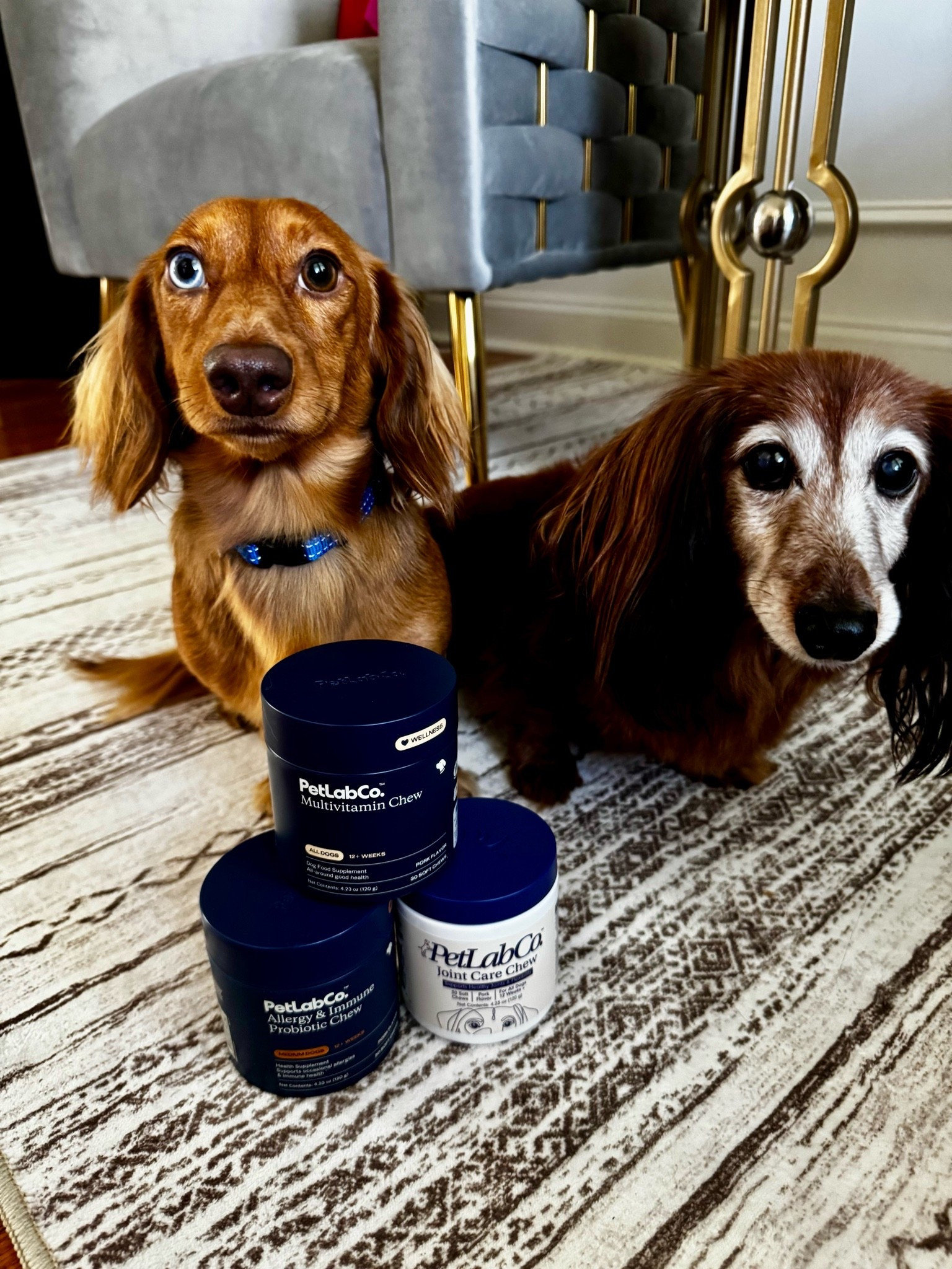 Because your dog deserves more than treats—they deserve daily wellness support.

Give your furry companion the care they need with PetLab Co Dog Chews, specially crafted to help support your dog’s overall health and happiness. 

From digestive wellness and immune support to maintaining an active lifestyle, these tasty chews make it easier than ever to prioritize your pup’s well-being every single day. #doghealth #doglovers #amazonfinds #petlabco

#LTKSaleAlert #LTKdayinmylife