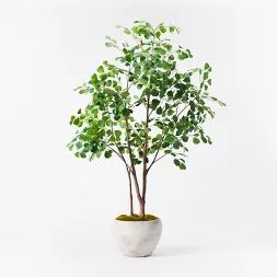 72" Artificial Ficus Tree - Threshold™ designed with Studio McGee | Target