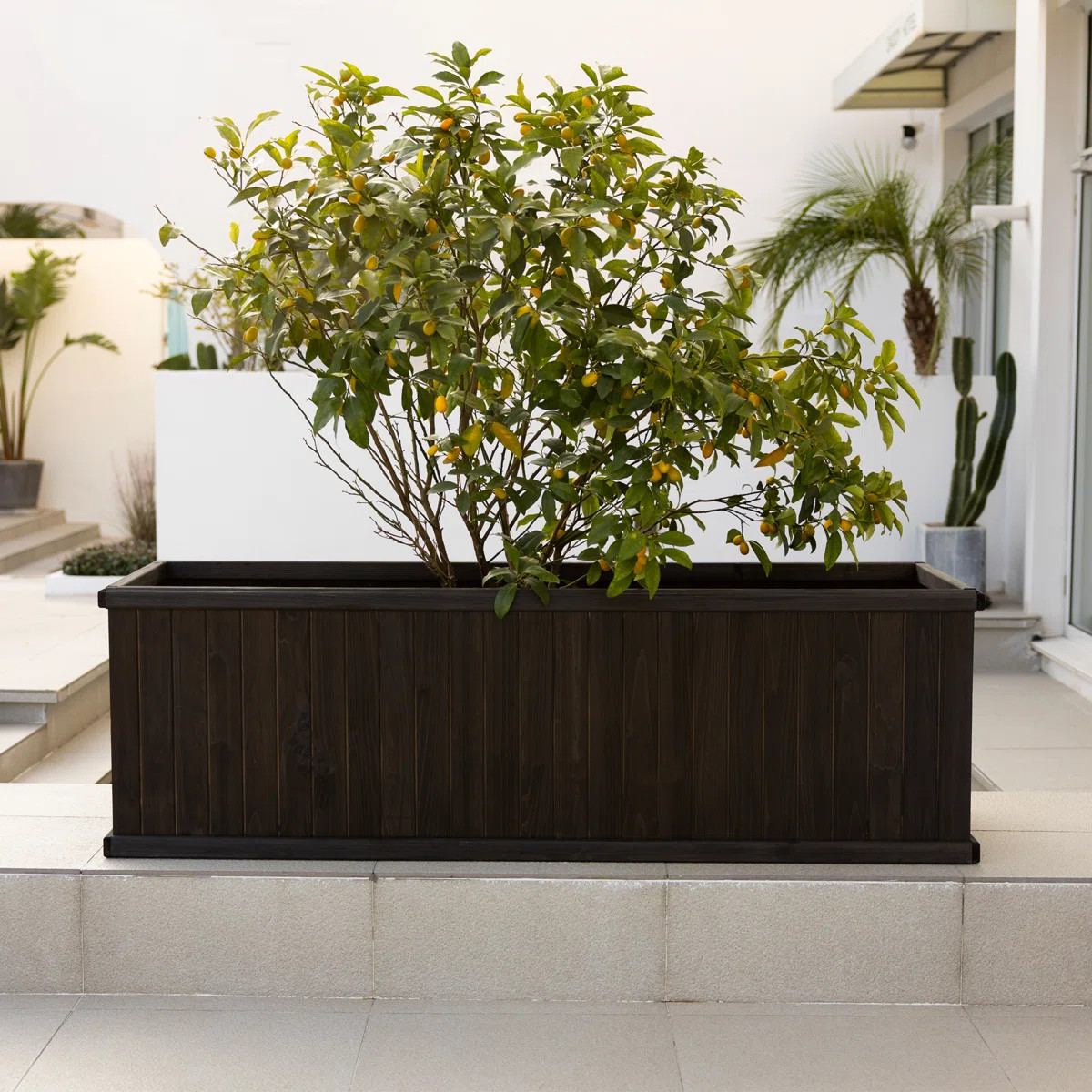 Barros Outdoor Wood Planter Box | Wayfair North America