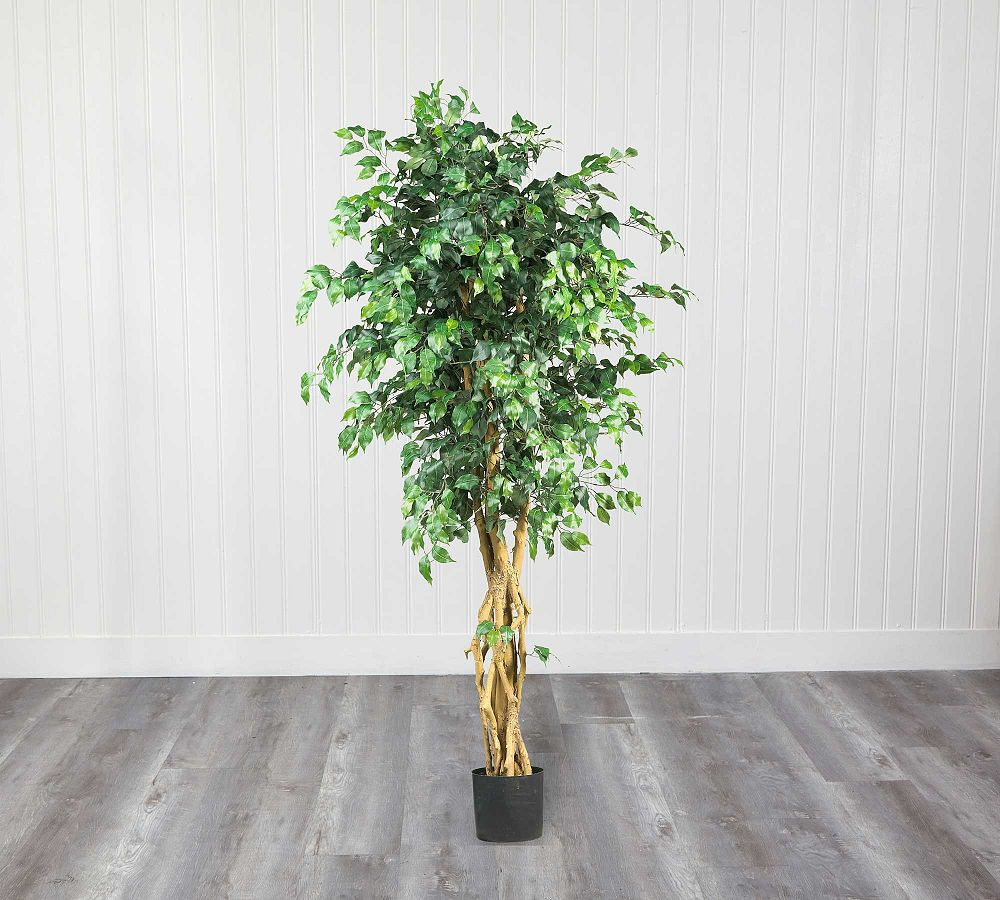 Faux Palace Style Ficus Trees | Pottery Barn (US)