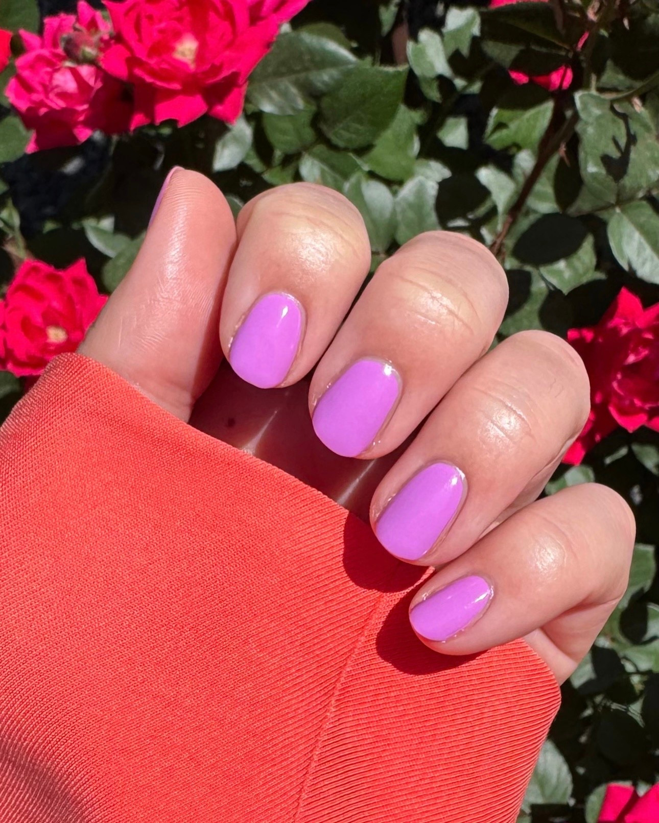 Spring shade royalty! 

#LTKselfcare #LTKBeauty