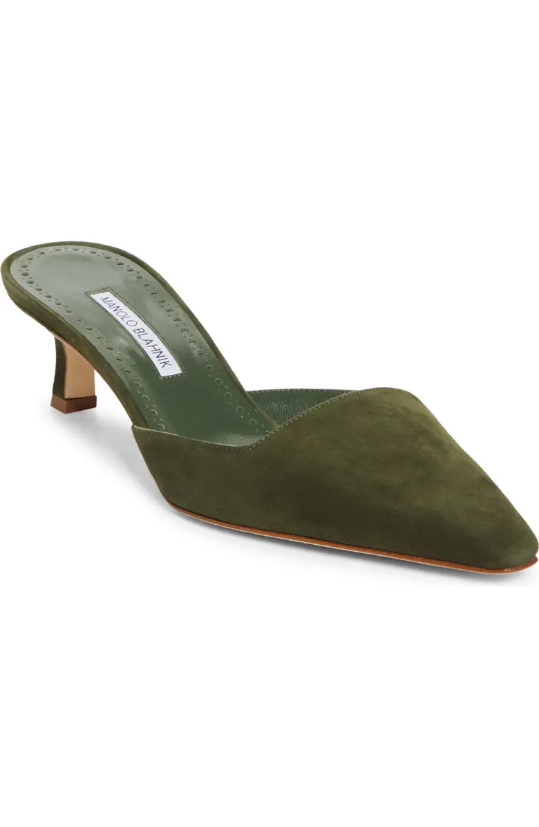 Manolo Blahnik Moiramu Pointed Toe Kitten Heel Mule (Women) | Nordstrom | Nordstrom