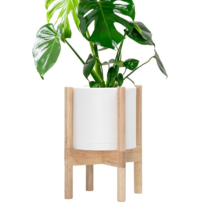 D'vine Dev Planter Pot with Stand - 8 Inch Plastic Cylinder Flower Pot with Wood Planter Holder f... | Amazon (US)