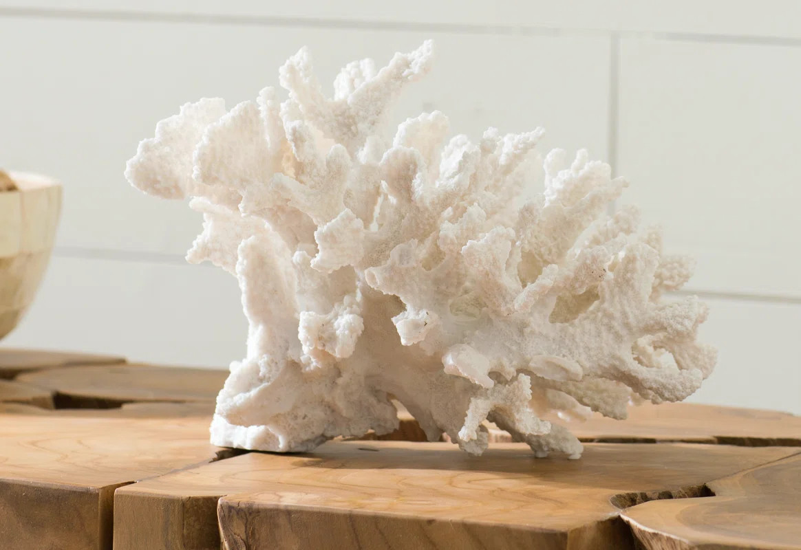 Coral Decor | Wayfair North America