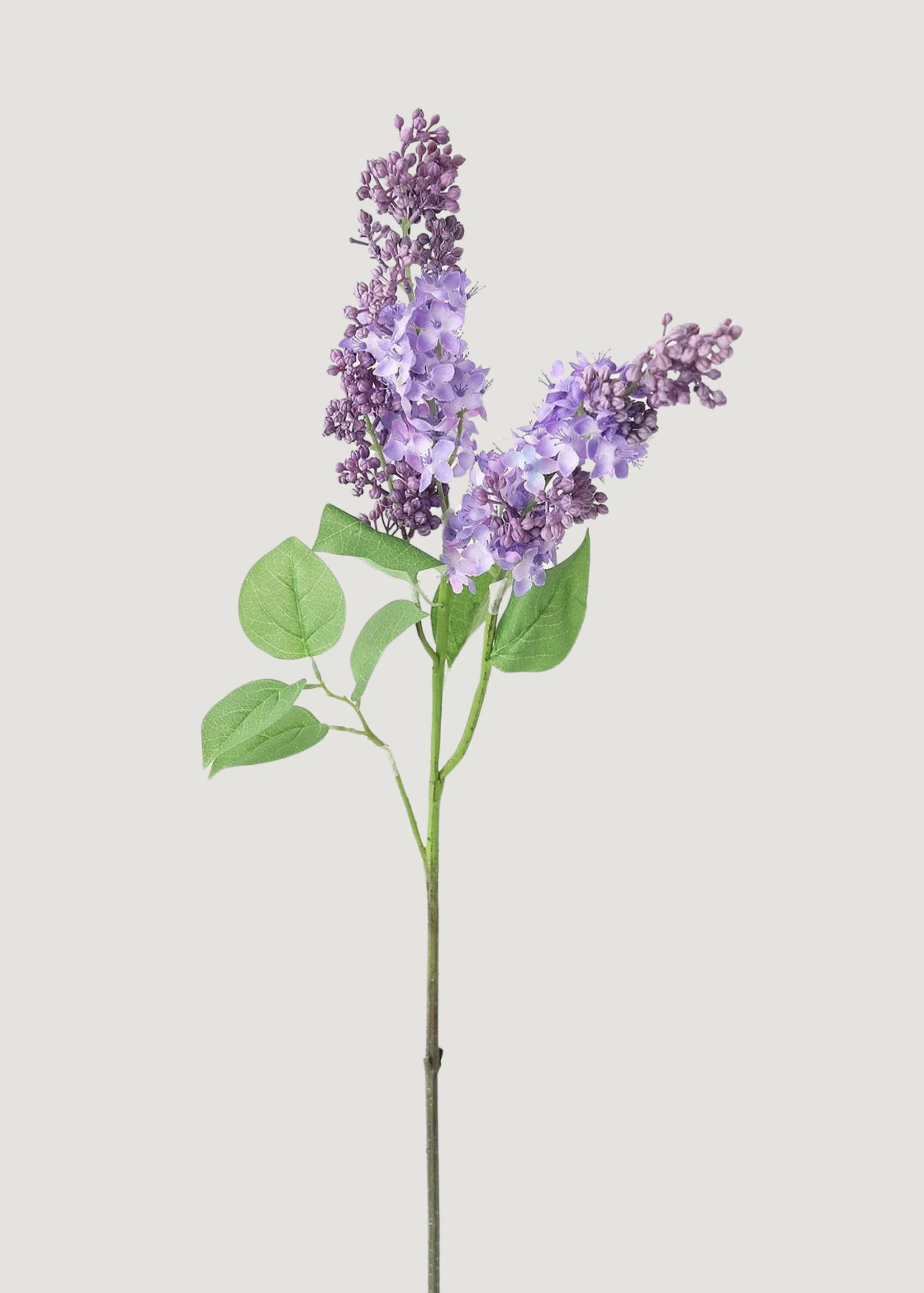 Purple Lilac Branch | Artificial Spring Flowers | Afloral.com | Afloral
