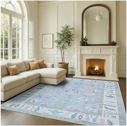 Fame Rugs Lavender Modern Oushak Rug 10x13, Vintage Turkish Colorful Oriental Washable Antique In... | Amazon (US)
