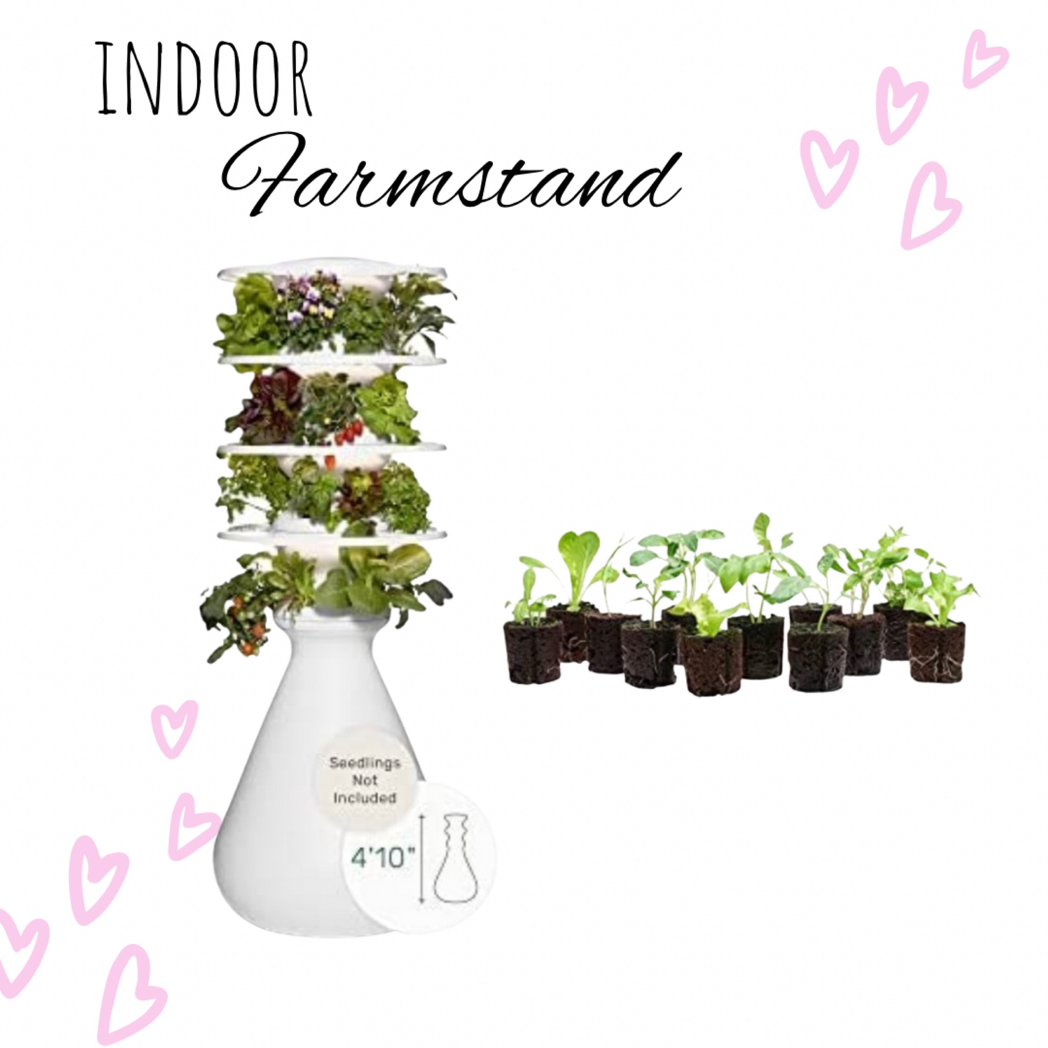 Indoor farm stand! I love this for fresh salads everyday! Easy maintenance and best investment ever! 

#LTKhome #LTKfit #LTKfamily