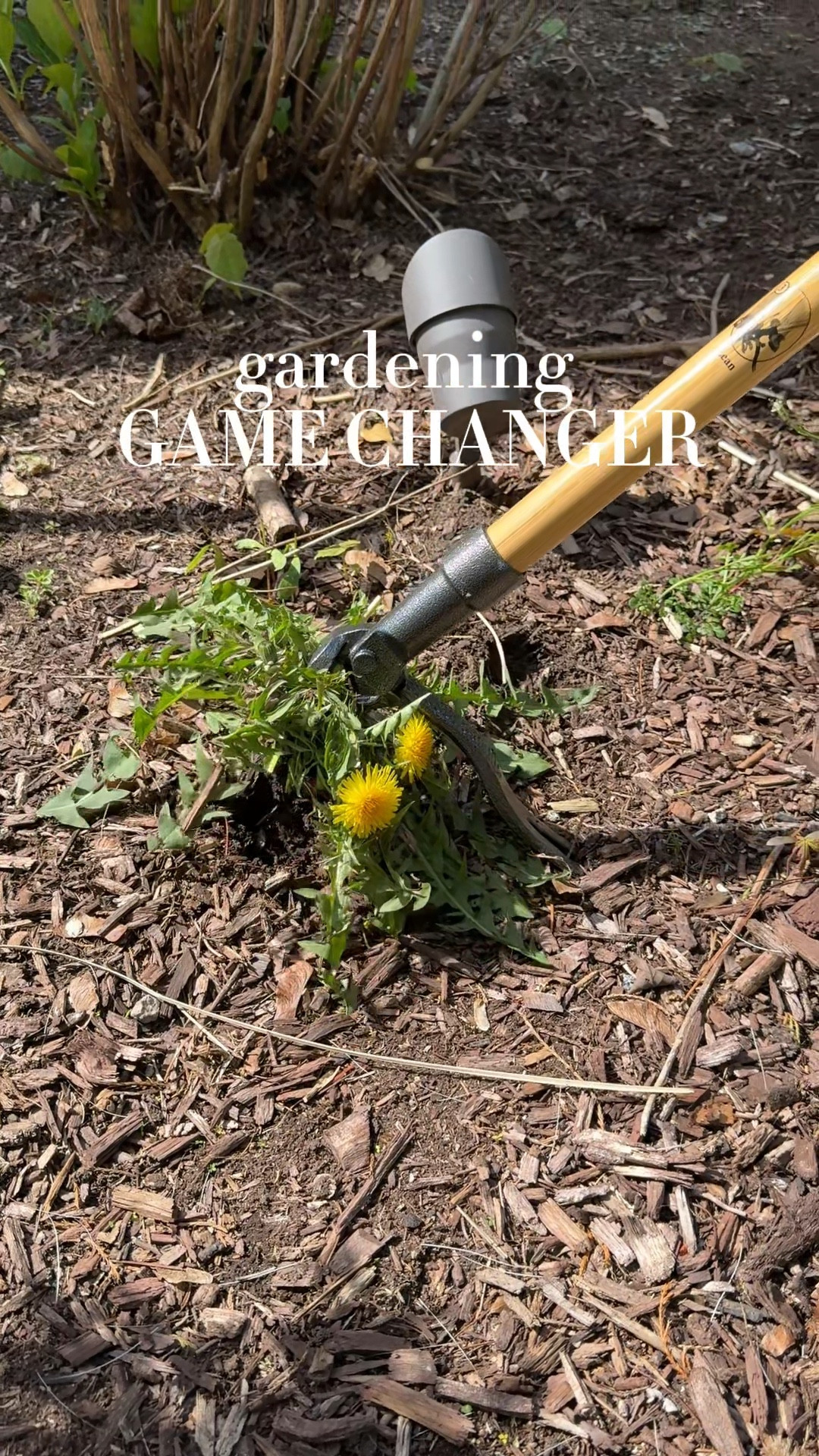 If you have pesky weeds in your yard or garden, you NEED this!! 

Amazon home find 

#LTKHome