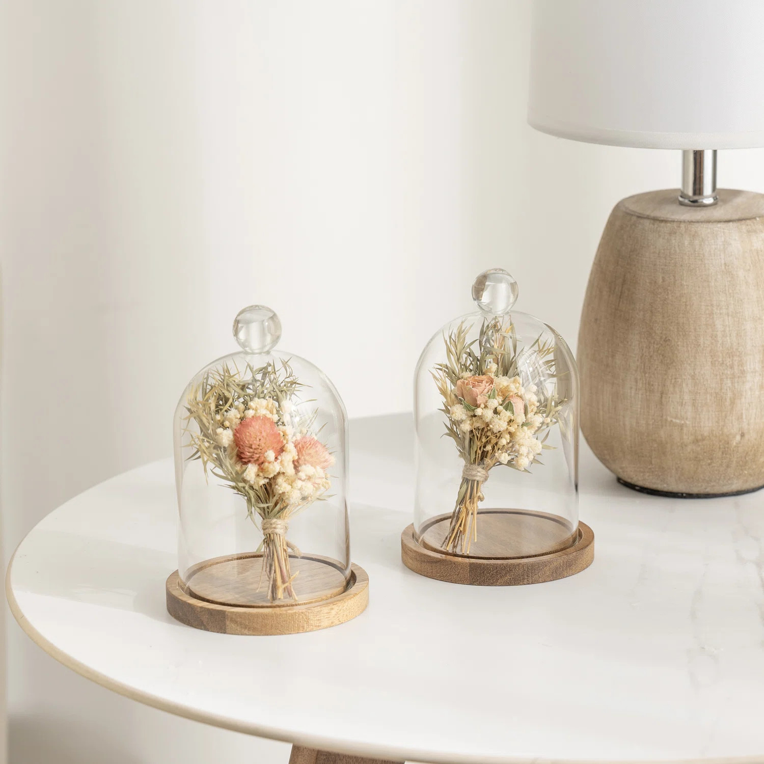 2-Piece Mini Decorative Glass Cloche Set | Wayfair North America