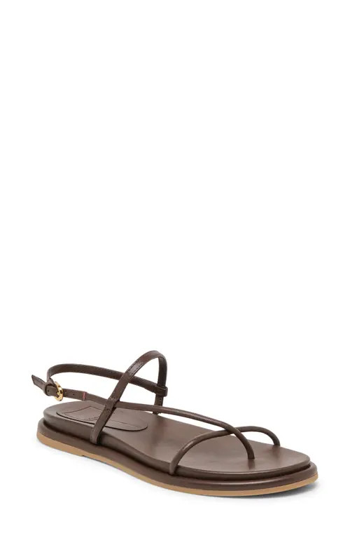 Dolce Vita Dom Strappy Sandal in Dark Brown Leather at Nordstrom, Size 6.5 | Nordstrom