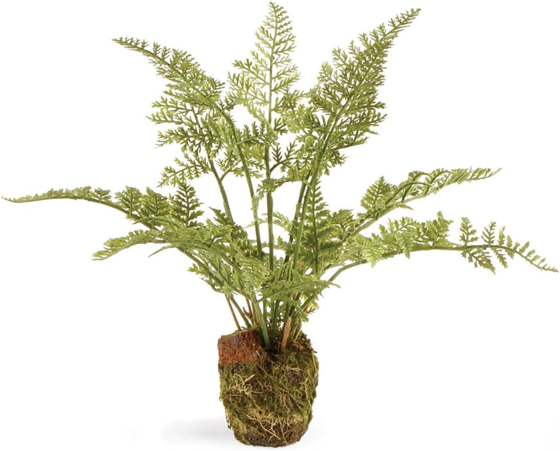 Conservatory Soft Fern Drop-in 8.5" | Amazon (US)