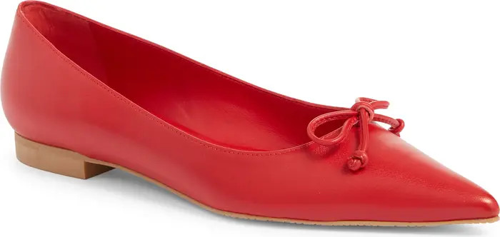Landon Pointed Toe Ballet Flat (Women) | Nordstrom Rack
