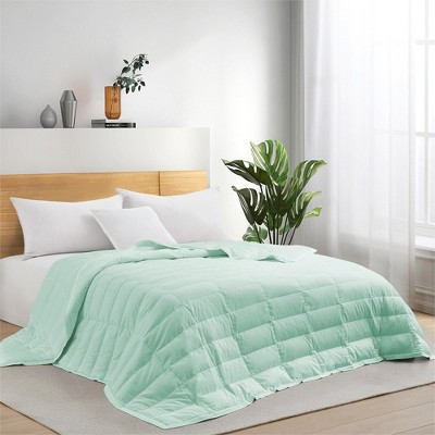 Puredown Ultra-Lightweight White Down Blanket,Soft Bed Cover For All Season, Dusty Aqua/ Tencel, 90x108 inches | Target