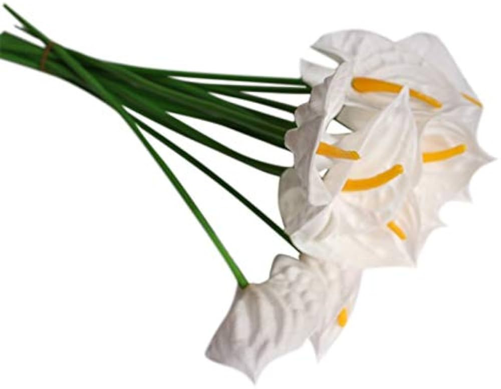 20Pcs Artificial Anthurium Flowers Real Touch Fake flower for Home Decor Floral Arrangements Bouq... | Amazon (US)