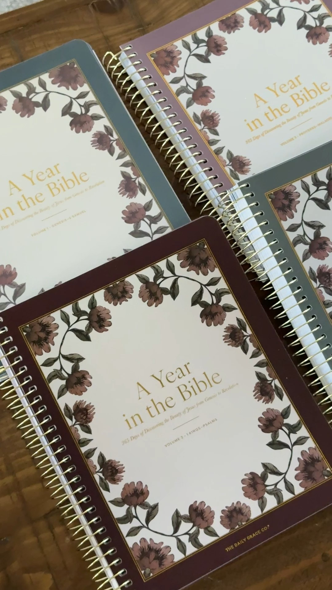 Our favorite year long bible study from The Daily Grace Co is on sale again! This would make such a good gift! 

#LTKGiftGuide #LTKSaleAlert