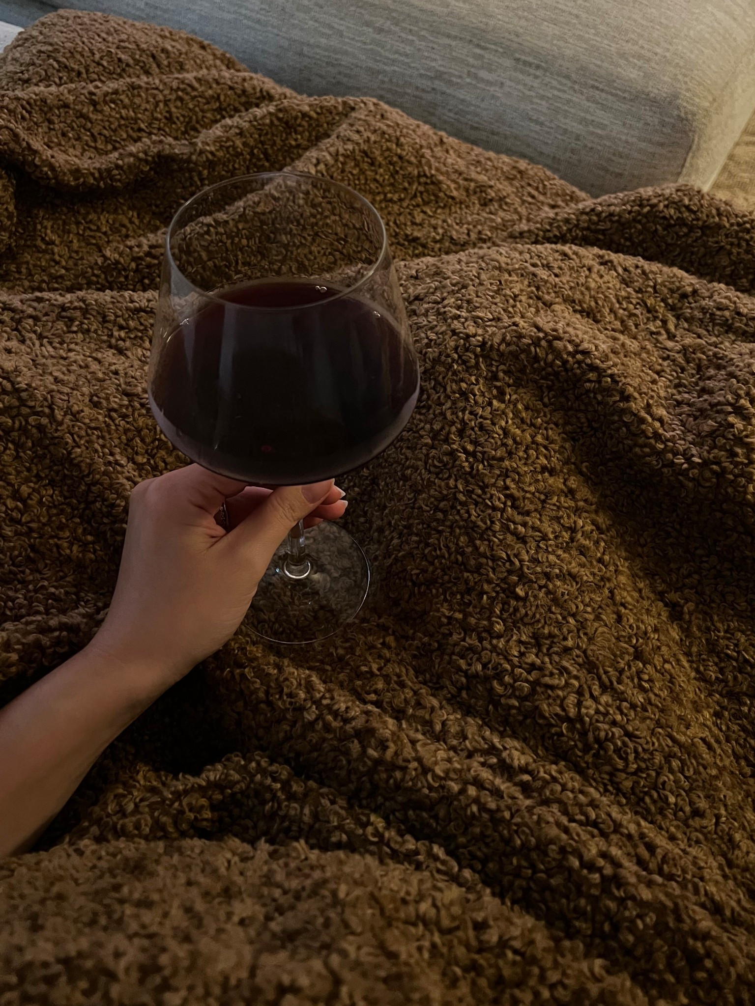 Fall nights made cozy with this teddy blanket and big wine glass 🫶🏻

#LTKHome #LTKSeasonal
