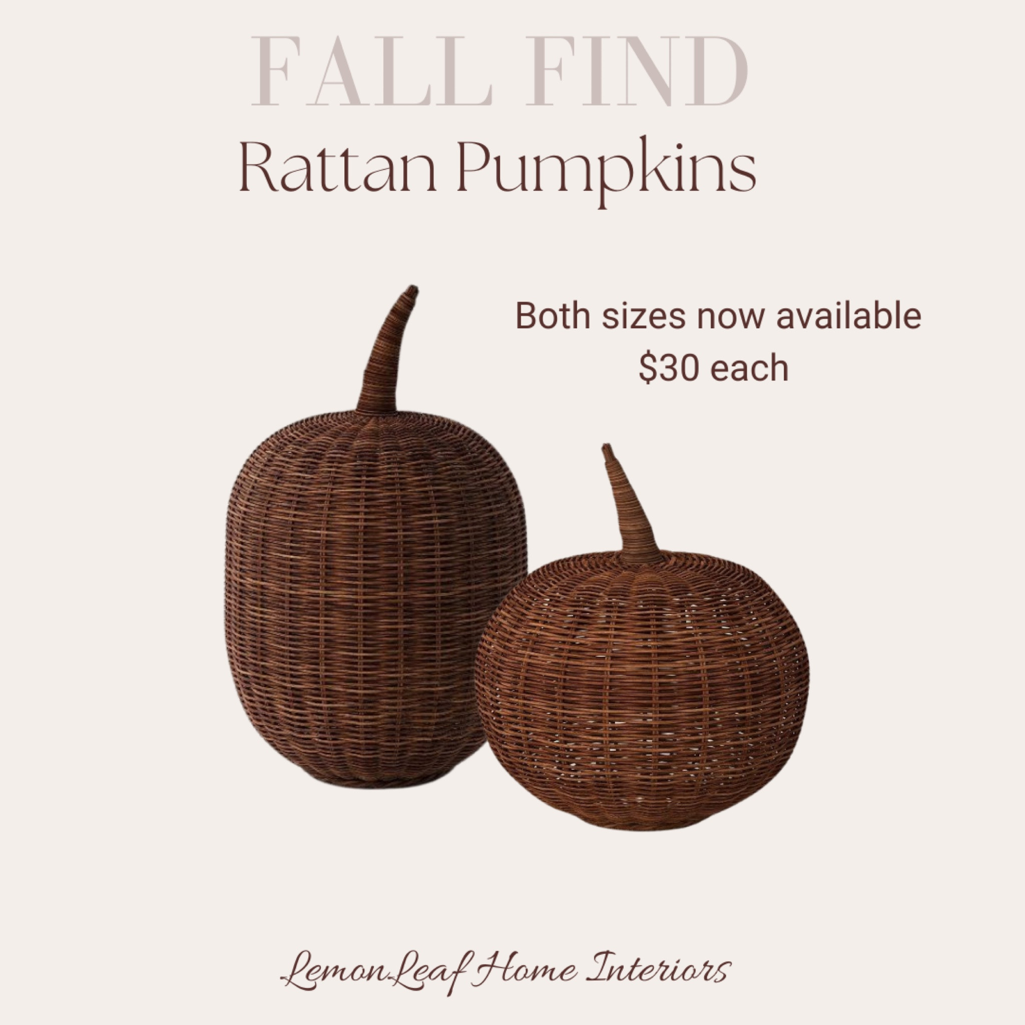These gorgeous rattan pumpkins are finally available in both sizes! Target fall decor



#LTKSeasonal #LTKunder50 #LTKhome