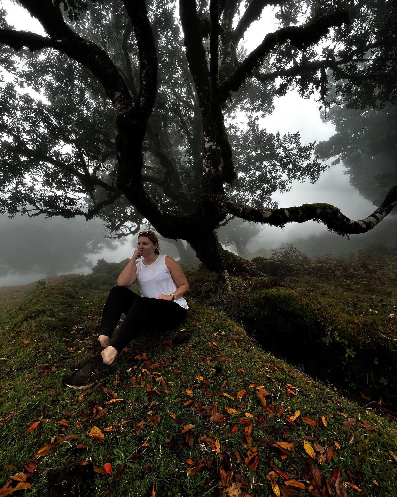 In a dark, dark wood 

#LTKfitness #LTKmidsize #LTKtravel