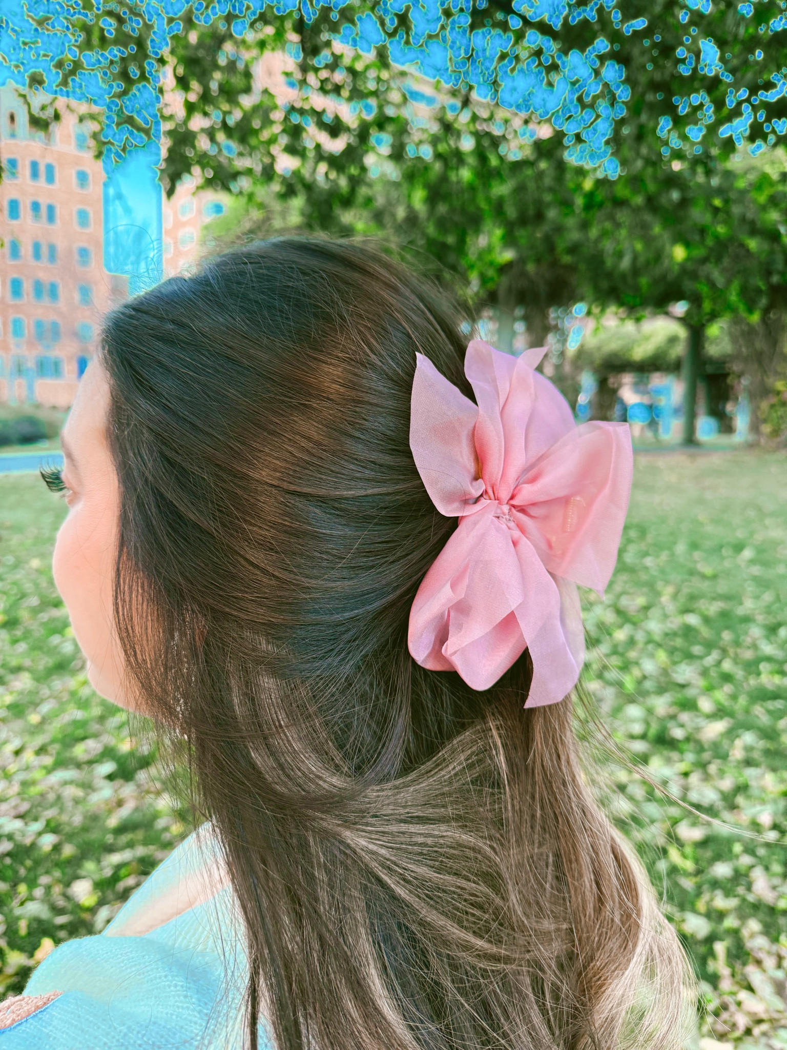 Cute mesh bow claw clip 

#LTKStyleTip #LTKCyberWeek #LTKSaleAlert