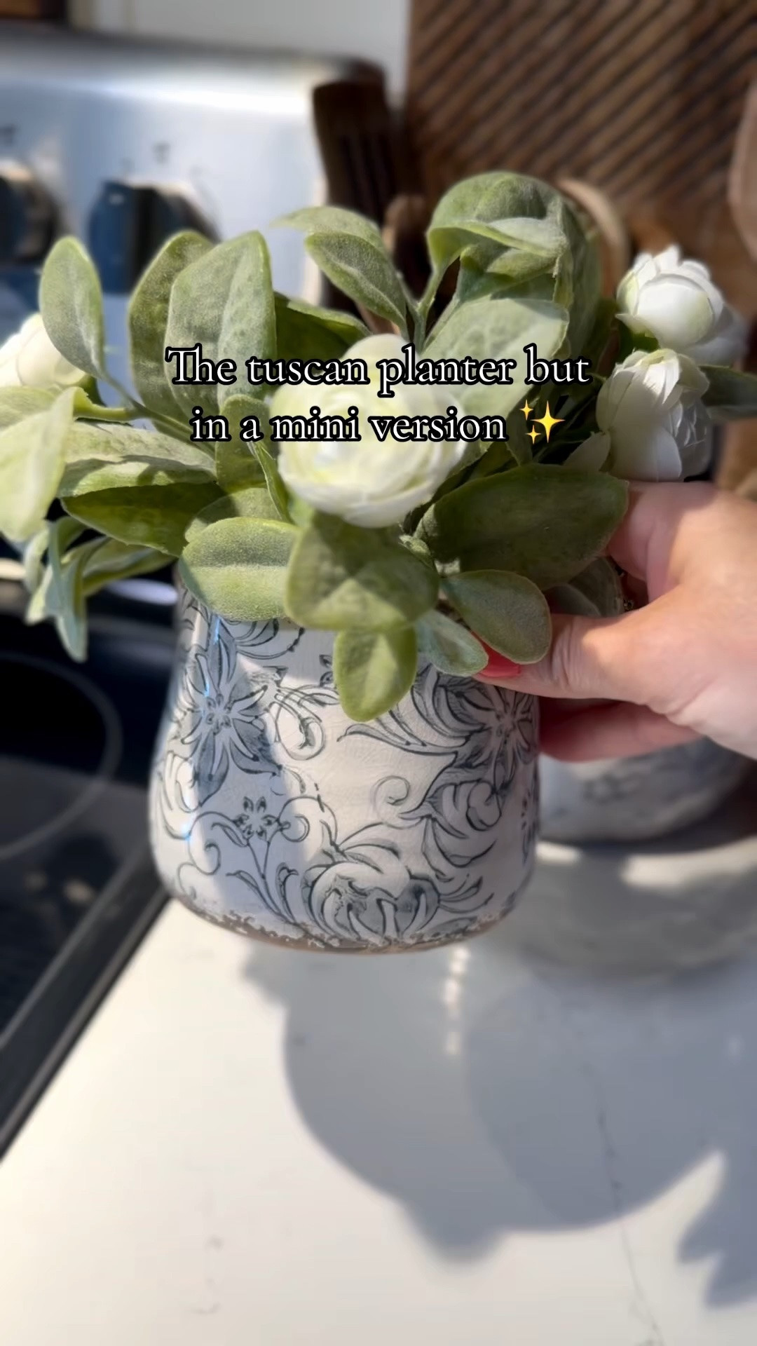 love both planters!

#LTKmomlife #LTKHome