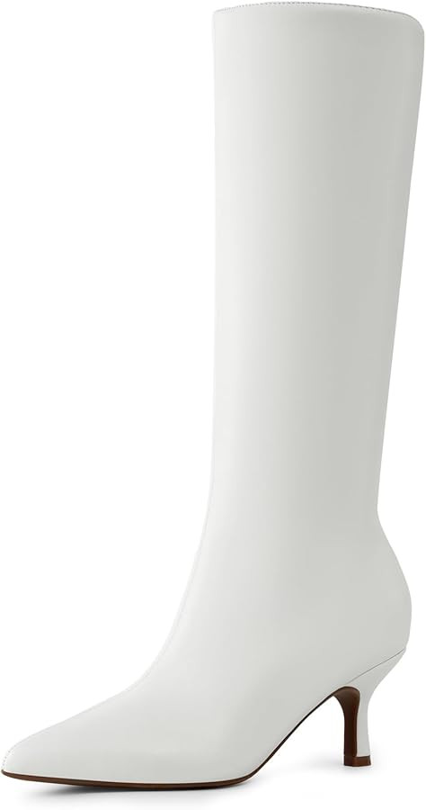 DREAM PAIRS Women's Knee High Kitten Heel Boots Sexy Pointed Toe Fashion Long Tall Boots | Amazon (US)