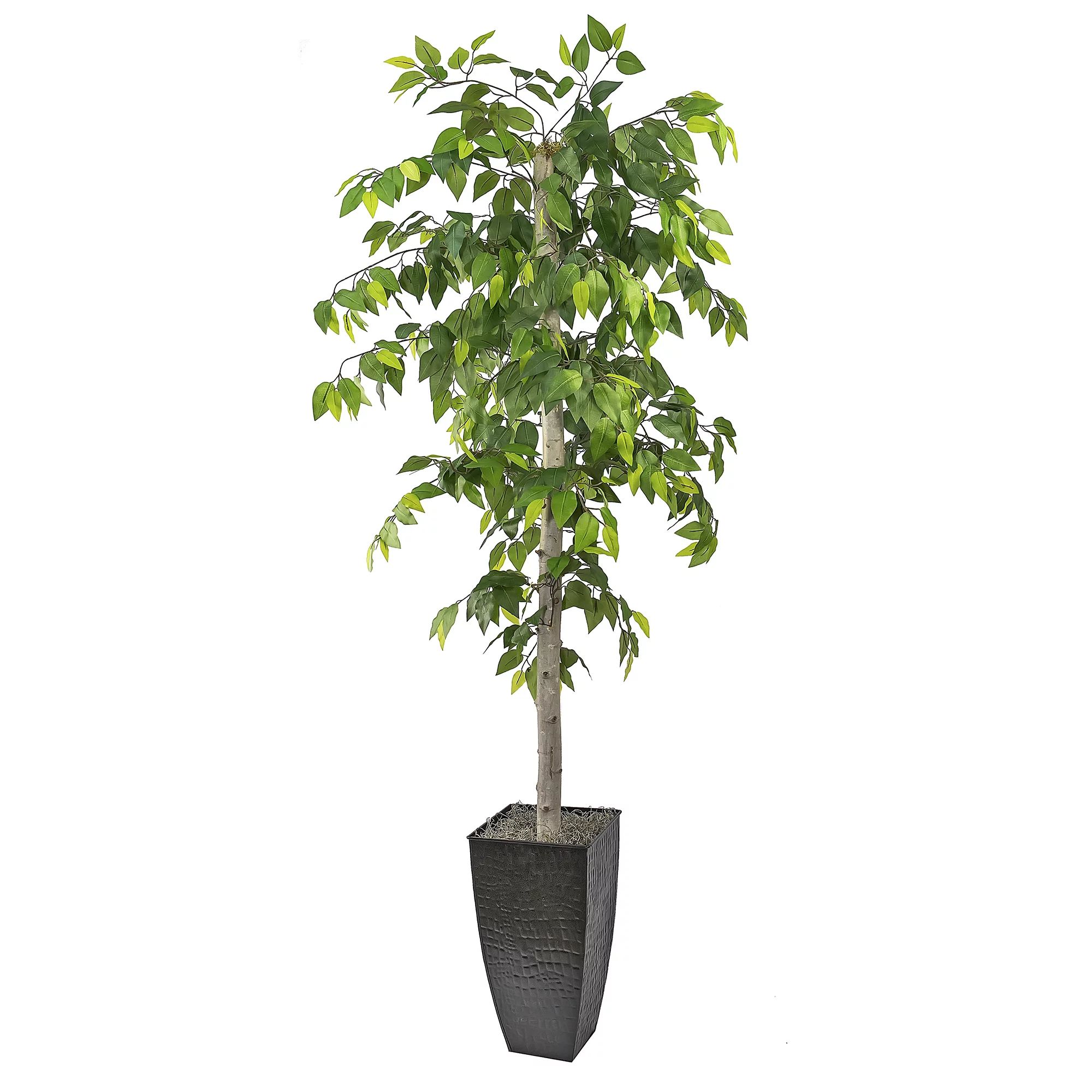LCG Florals 72" Artificial Ficus Tree in Black Metal Pot | Walmart (US)