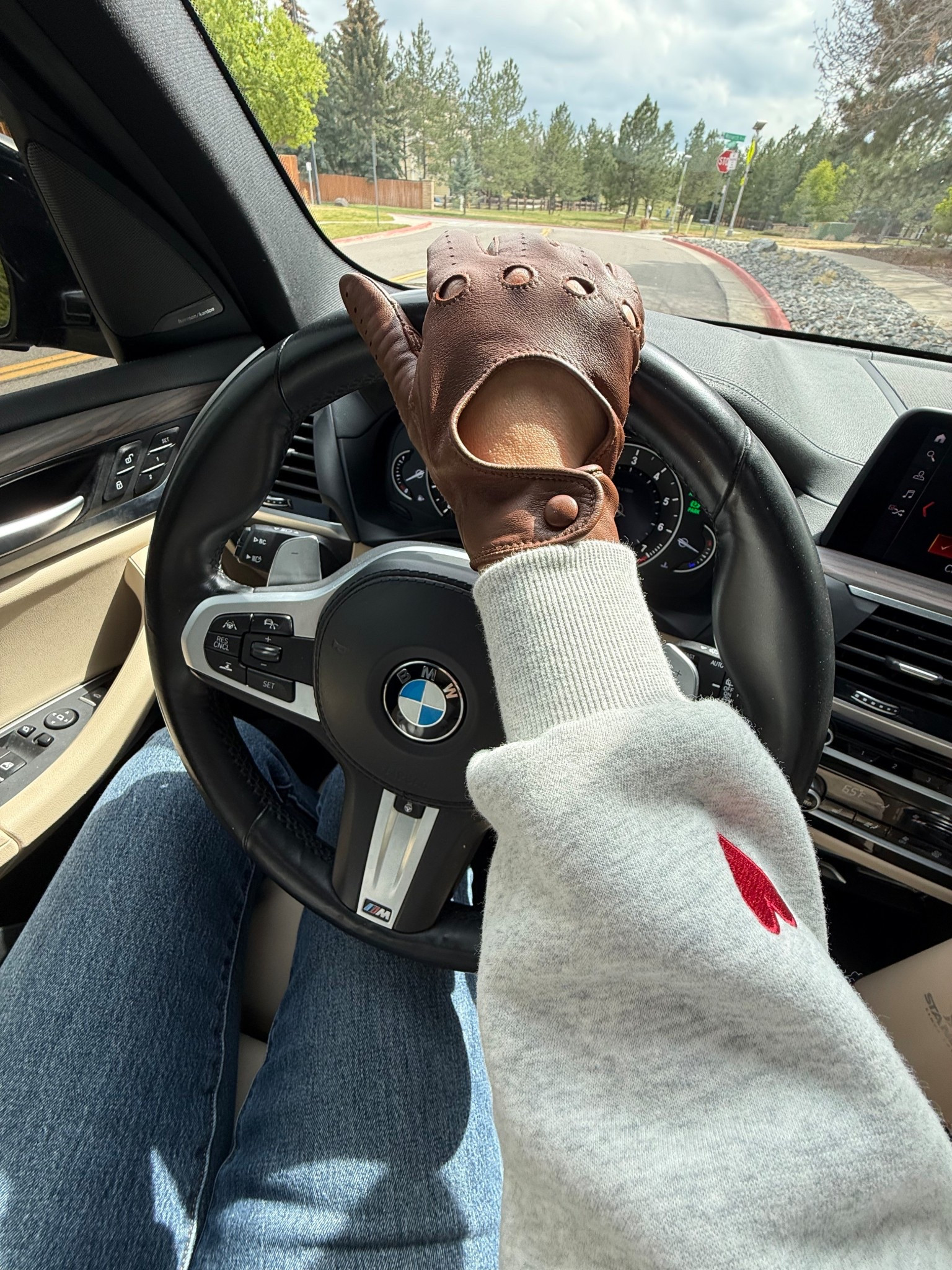 Driving gloves always. I am a gilt who loves driving but also needs to be chic 

#LTKTravel #LTKdayinmylife