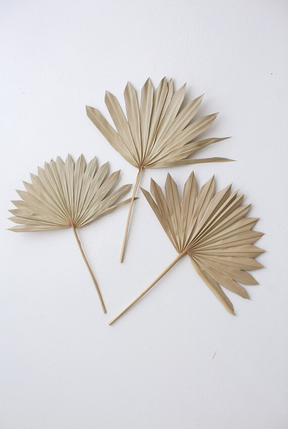 5 Stem Bunch of Dried Natural Sun Palms | Home Decor | Dried Natural Sun Palms | Dried Flowers | ... | Etsy (US)