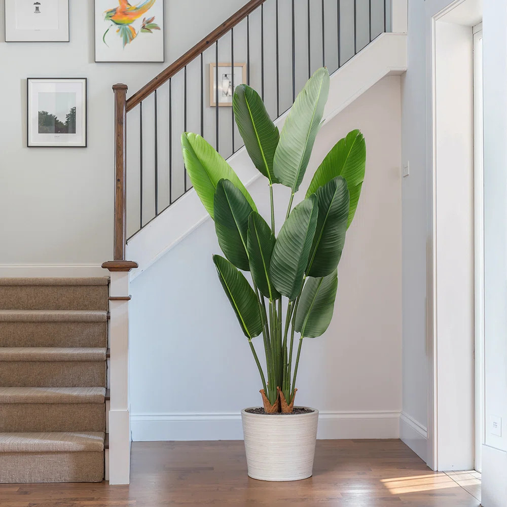 Oakgrove Fake Plants Faux Banana Leaf Tree Bird Of Paradise in Black Plastic Pot | Wayfair North America