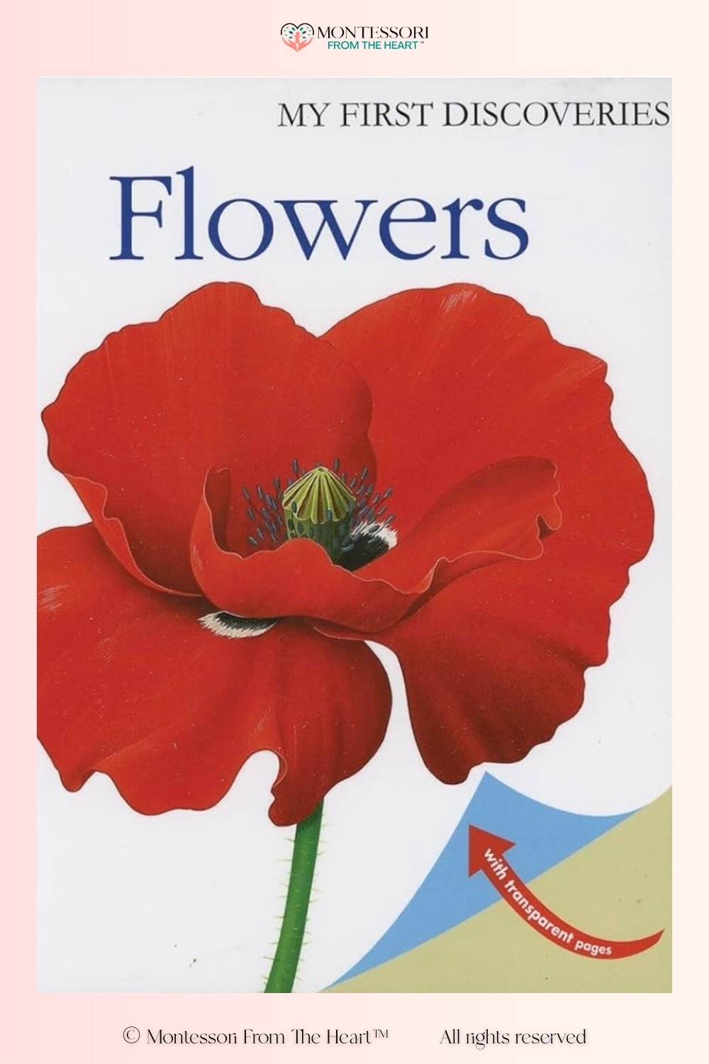 Flowers by My First Discoveries ~ Book for Kids 

#LTKHome #LTKstorytime #LTKKids