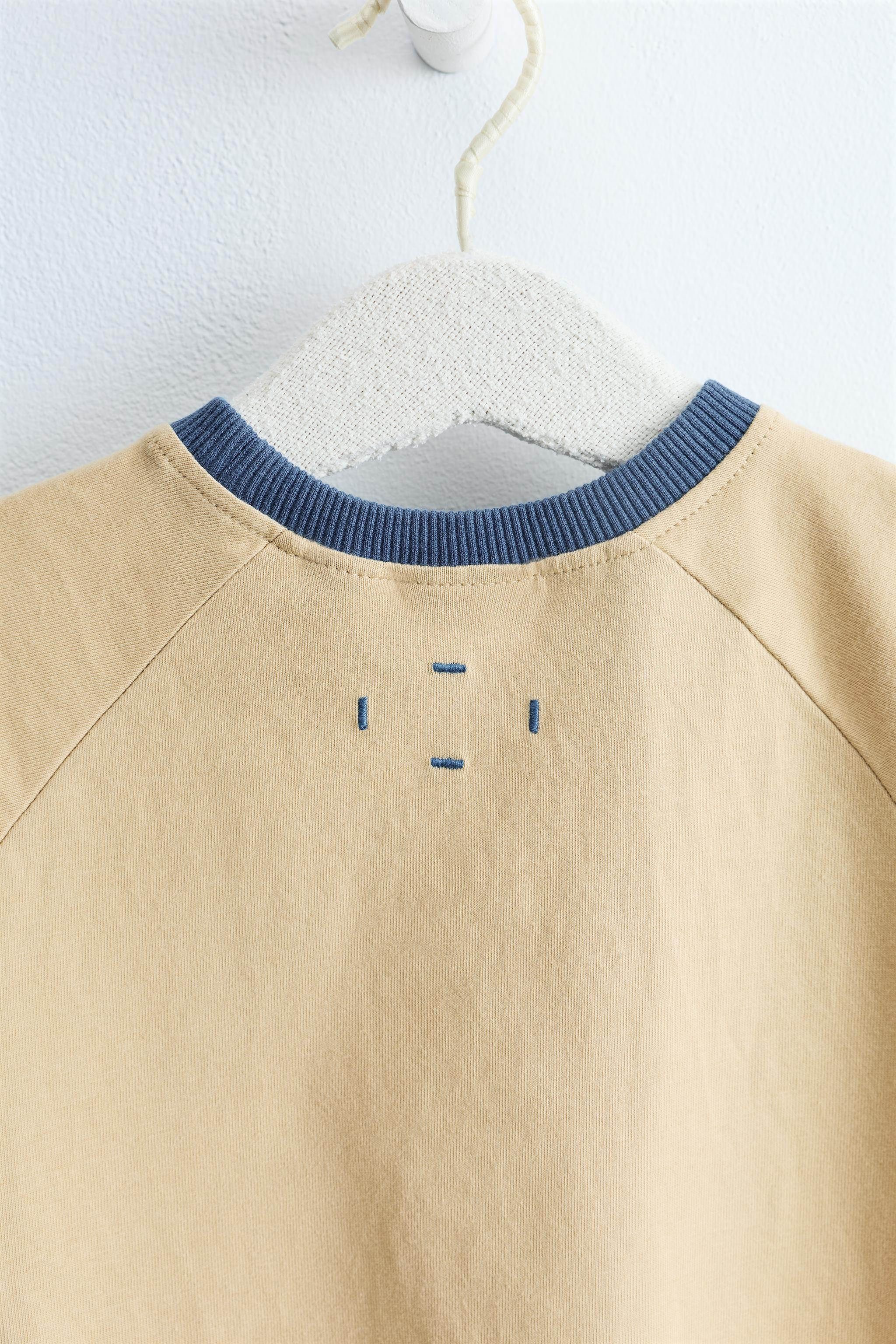 Relaxed-fit T-shirt made of cotton fabric. Features a contrasting piped neckline.Available in thr... | Zara US