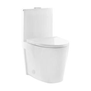 St. Tropez 1-Piece 0.8/1.28 GPF Dual Flush Elongated Toilet in White | The Home Depot