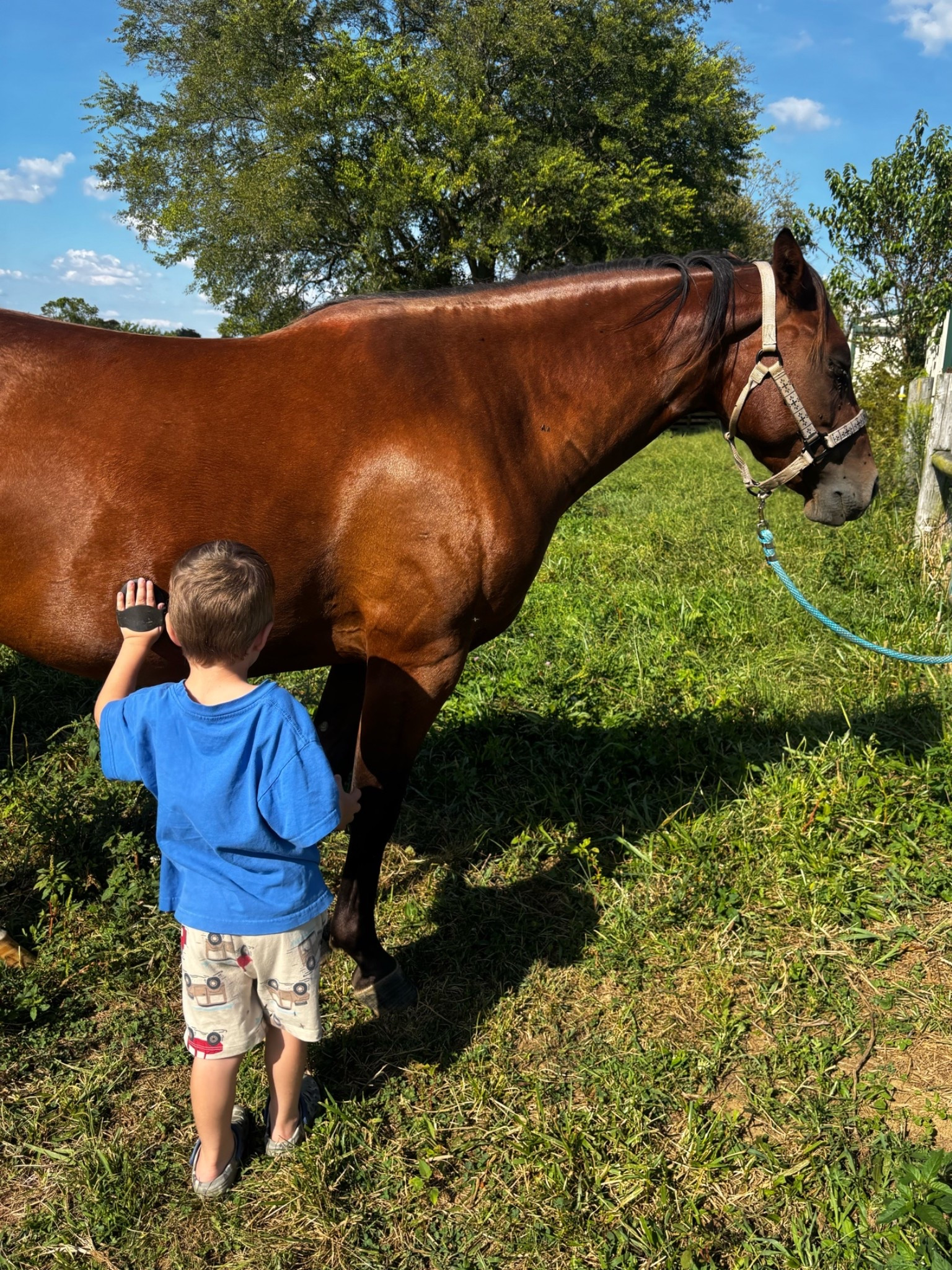 Dad and baby brother running errands meant horsemanship lessons for big brother + a little bareback ride

#LTKmomlife #LTKU #LTKActive