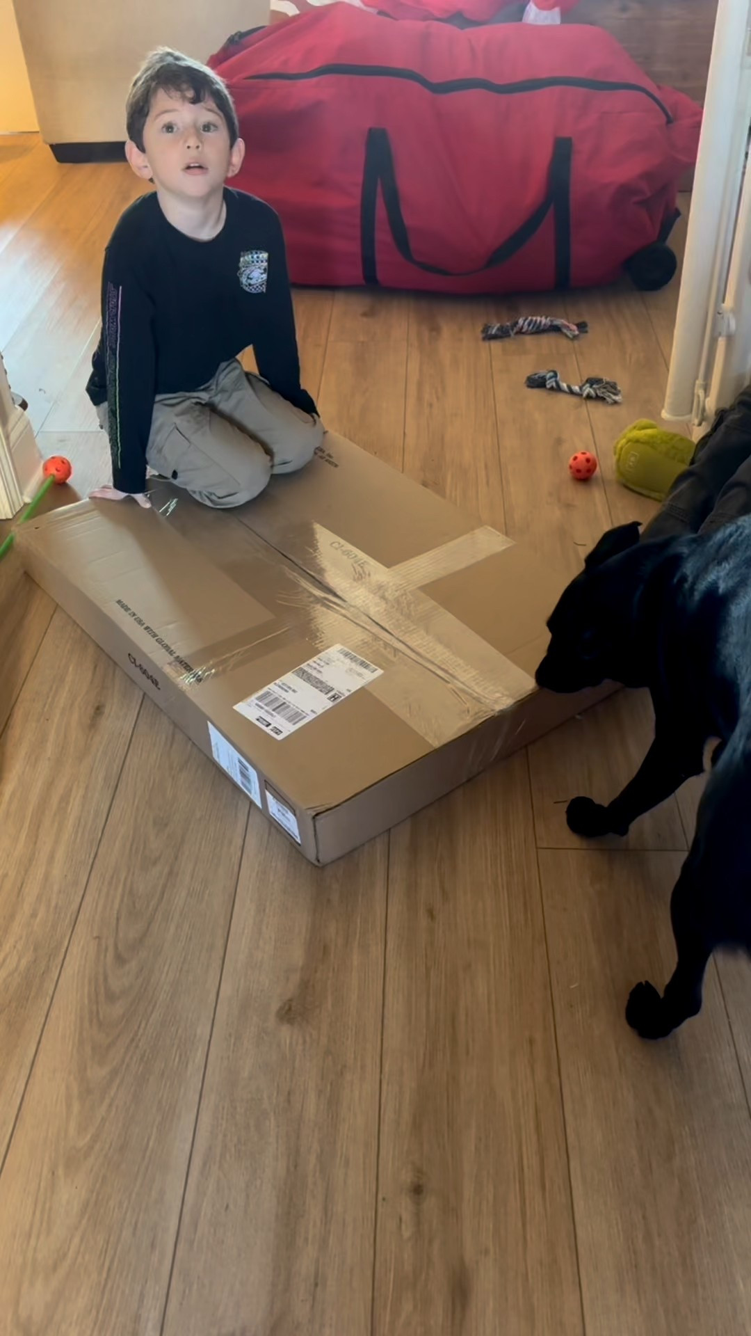 We got Snickers a new playpen. He had already done better in it than in the crate 

#LTKHome