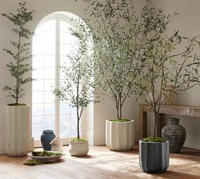 Faux Olive Trees | Pottery Barn CA