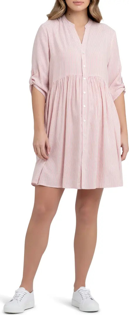 Sam Stripe Maternity/Nursing Dress | Nordstrom