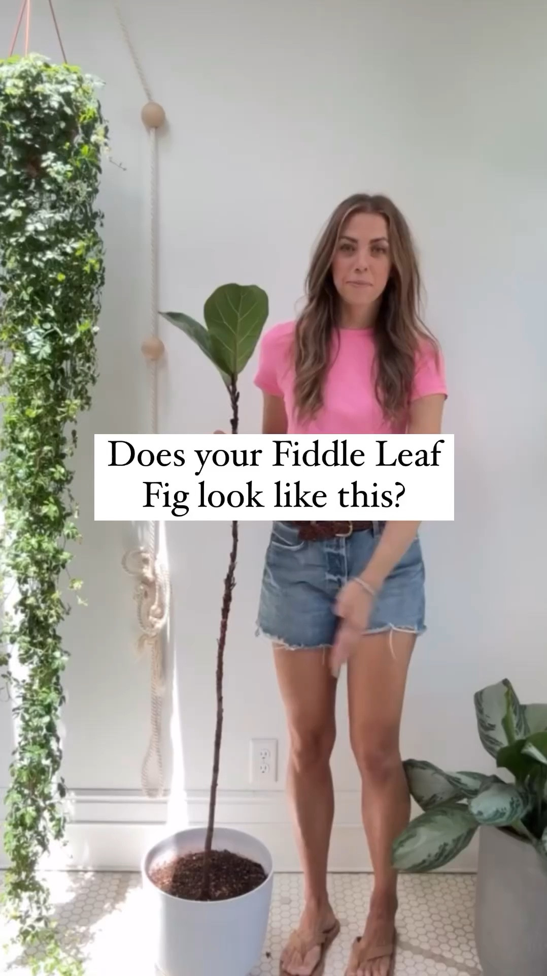Fiddle leaf rescue links 

Planter | Green Watering Can | Shorts | Pink T-shirt | Yellow Tank |

#LTKStyleTip #LTKHome #LTKSeasonal