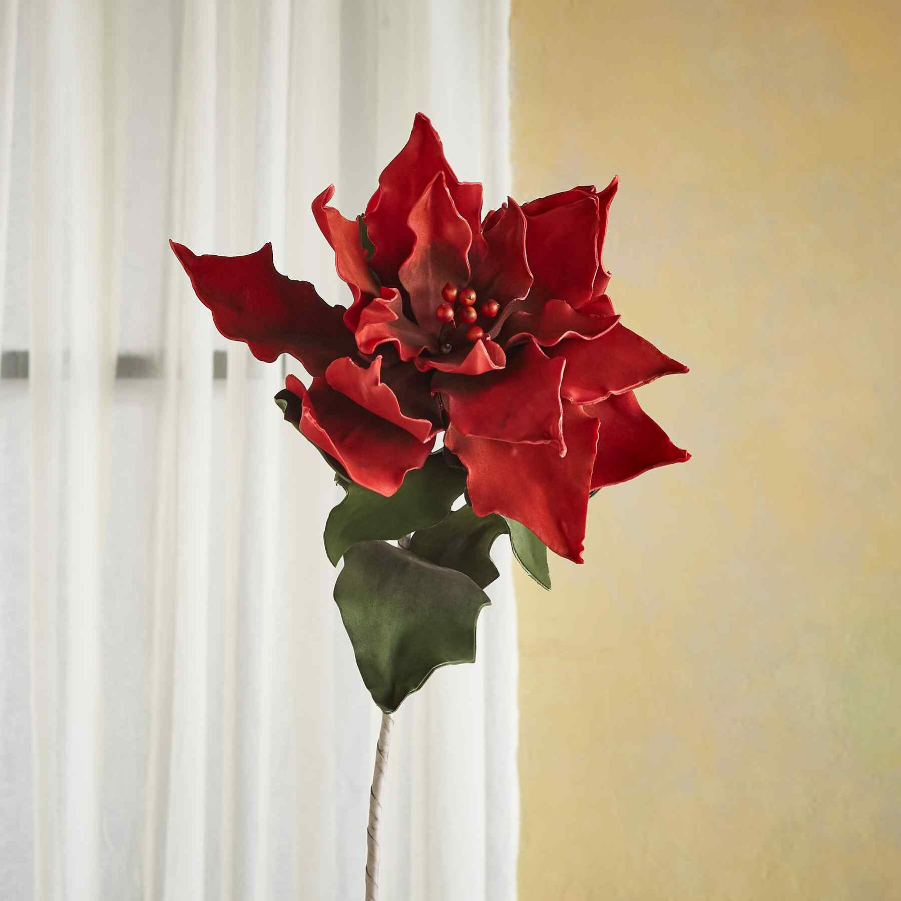 bountiful botanicals | Sundance Catalog