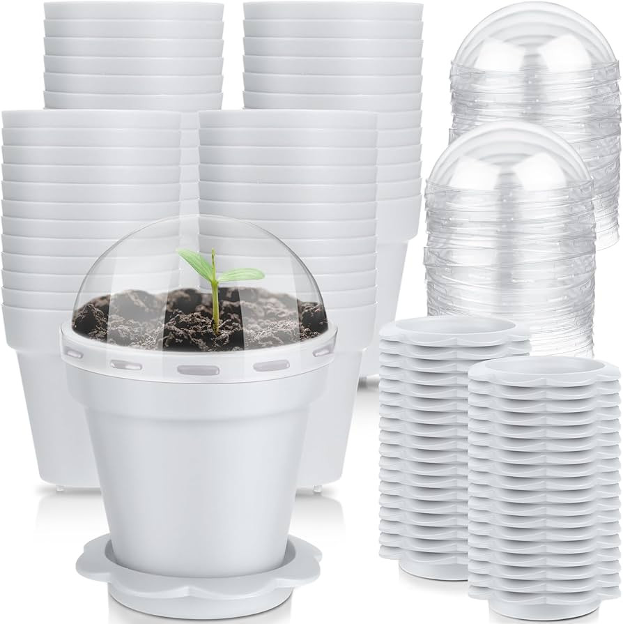 80 Pcs 3" Cupcake Plant Nursery Pots with Humidity Dome and Saucer Small Plastic Gardening Pot Pl... | Amazon (US)