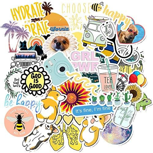 50pcs Vinyl Aesthetic Stickers for Water Bottles Laptop, Cute VSCO Hydroflask Stickers for Skateb... | Amazon (US)