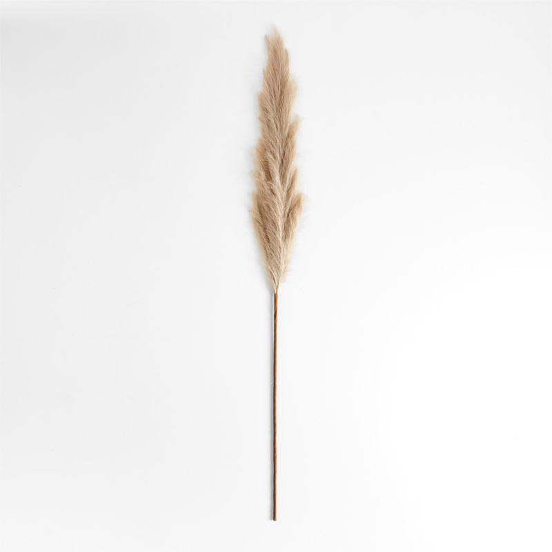 Artificial/Faux Taupe Tall Pampas Grass Decor 6' + Reviews | Crate & Barrel | Crate & Barrel