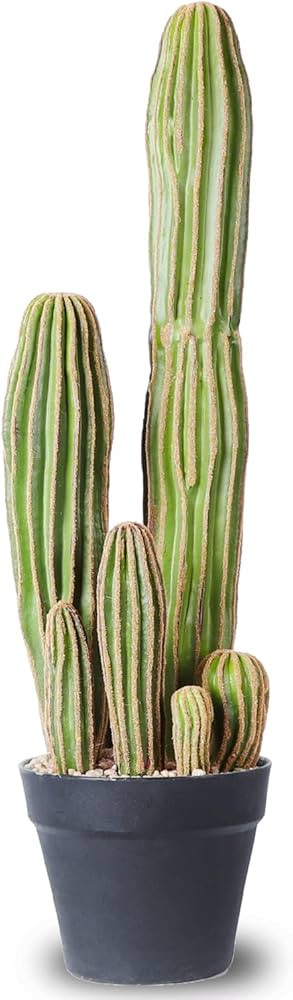 Artificial Cactus Fake Big Cactus 24 Inch Faux Cacti Plants for Home Garden Office Store Decorati... | Amazon (US)