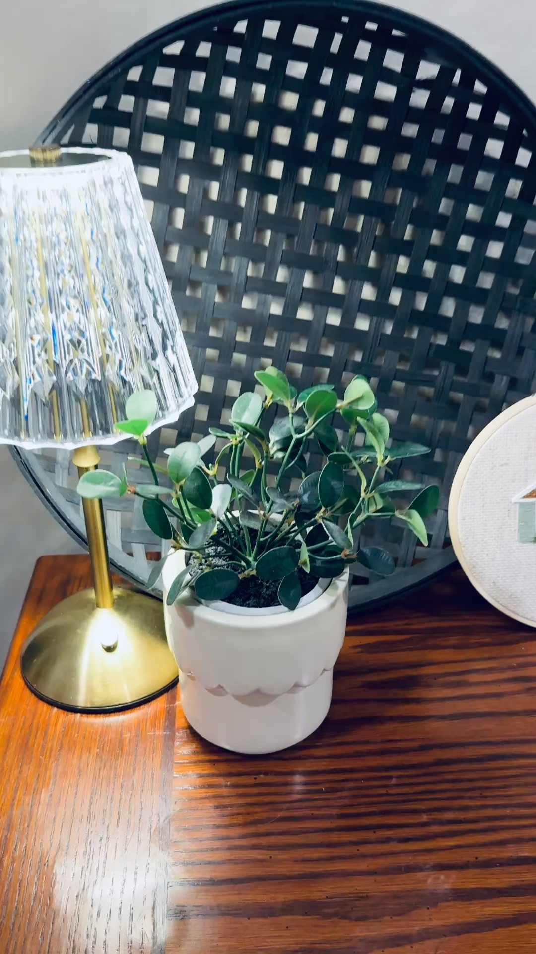 The scalloped details on this little Target pot are too cute. I put one of my fake plants in it until I go shopping for spring plants! 

 

#LTKSeasonal #LTKHome