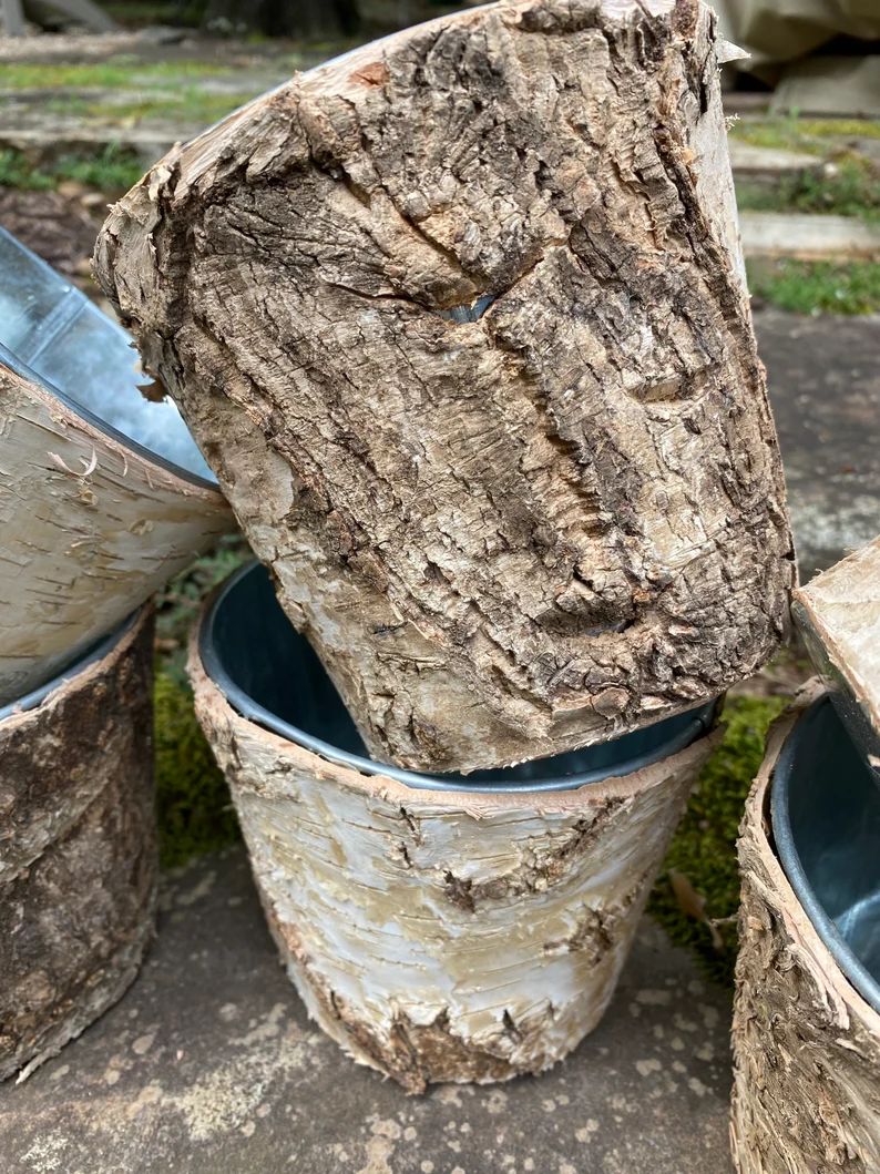 Birch Pot Vase Flower Pot Rustic Weddings READ Description | Etsy (US)